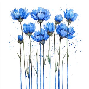 12 cliparts bleuet bleu, fleurs bleues, cliparts aquarelle pour scrapbooking et journaux indésirables | Fichiers JPG de haute qualité | Téléchargement numérique