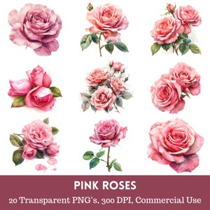 Pink Roses Watercolor Clipart: Pink Flowers, Floral Art (PNGs, Digital Download, Commercial Use)