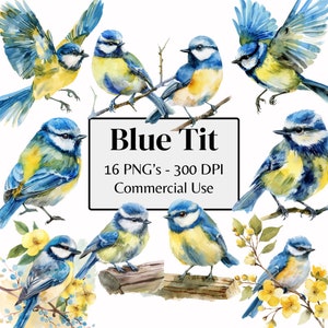 Mésange bleue aquarelle | 16 fichiers PNG de haute qualité pour oeuvre d'art mural animal, agenda numérique et journal indésirable | Utilisation commerciale