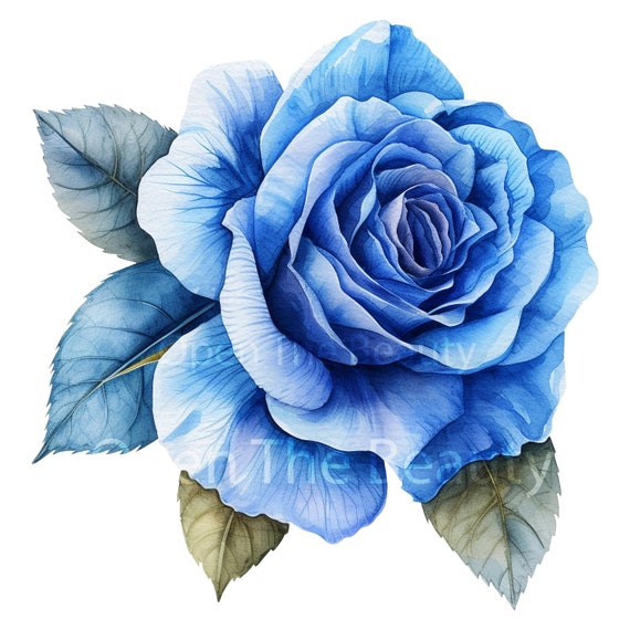 20 Blue Roses Clipart | Teal Navy Floral Watercolor Art | Ethereal