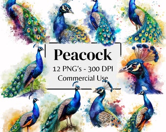 Peacock Watercolor Clipart Peacock Clipart Bird Clipart | Peacock PNG 300 DPI | Wall Art, Digital Planner, Scrapbooks, junk journals