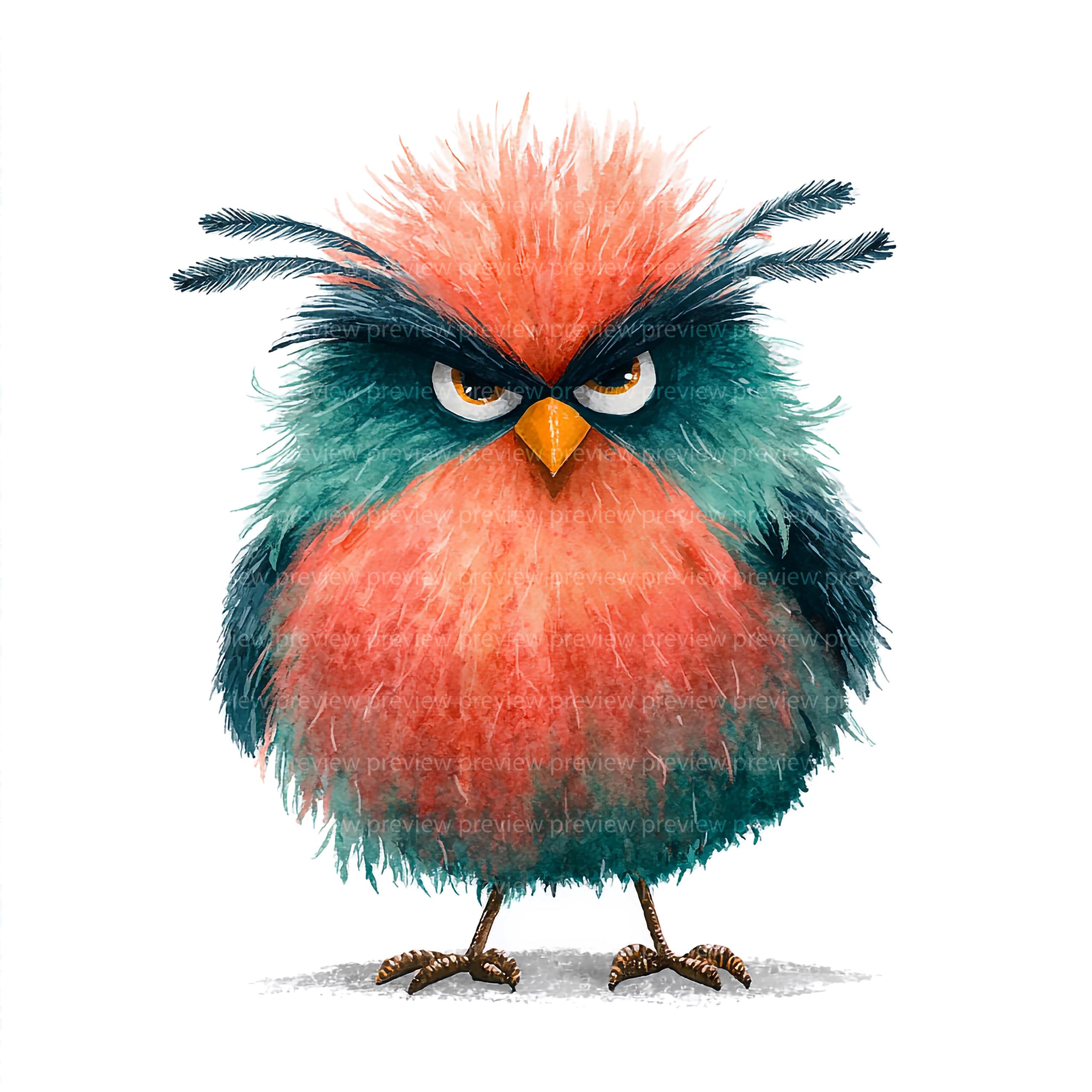 12 Grumpy Bird Clipart | Character Watercolor Avian Art | Unique ...