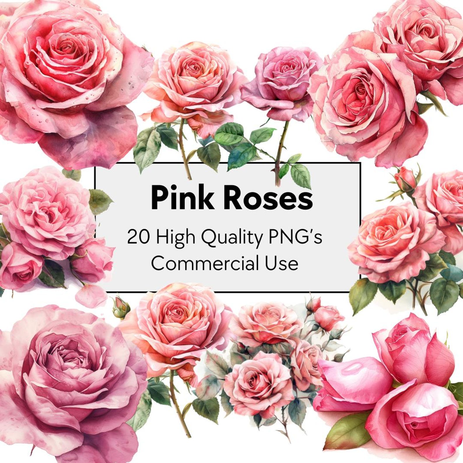 20 Pink Roses Watercolor Clipart | Pink Flowers, Floral Art (pngs ...