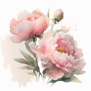 Aquarell Pink Pfingstrose Clipart, Pink Pfingstrose Blumen | 12 hochauflösende JPGs für digitalen Planner, Junk Journal, digitales Papier, Wandkunst