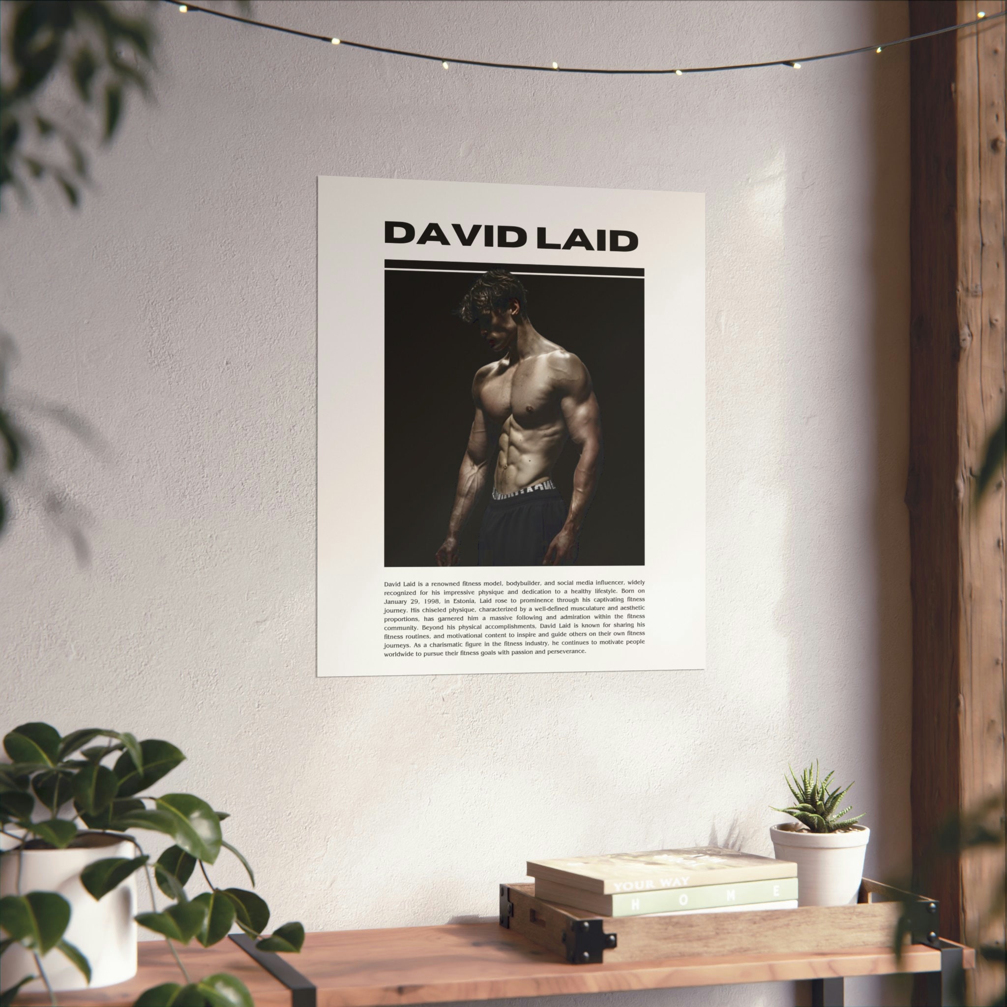 David Laid Posters for Sale