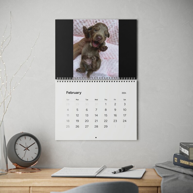 Cute Dog Calendar 2024 Etsy