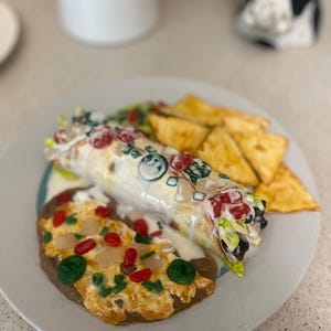 May include: A ceramic plate featuring a burrito, pizza, and potato wedges. The burrito is covered in a white sauce and topped with red and green accents. The pizza has red and green toppings. The wedges are golden brown.