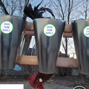 May include: A galvanized metal chicken feeder with the text "IDAHO FARM SUPPLY" on a green and white sticker. A rooster is eating from the feeder. The text "KOSHER KONES MADE IN THE USA" is in the lower left corner. The text "MEDIUM - 5-10 lbs-" is in the lower right corner.