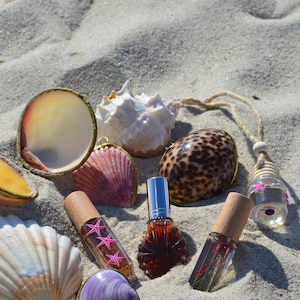 Pu&ograve; includere: Una collezione di piccoli flaconi di profumo in vetro con tappi in legno e dettagli argentati, decorati con adesivi a forma di stella marina rosa, disposti tra varie conchiglie tra cui una grande conchiglia bianca e una conchiglia viola.