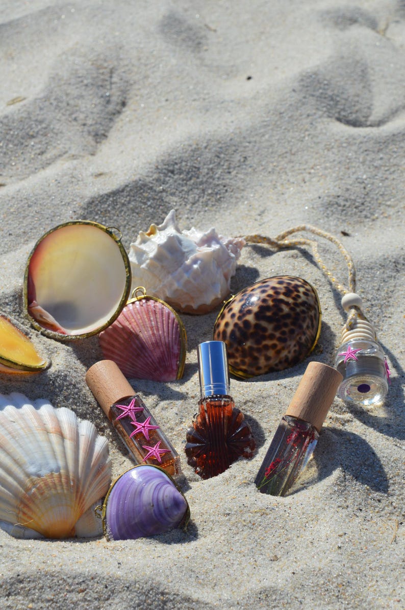 Pu&ograve; includere: Una collezione di piccoli flaconi di profumo in vetro con tappi in legno e dettagli argentati, decorati con adesivi a forma di stella marina rosa, disposti tra varie conchiglie tra cui una grande conchiglia bianca e una conchiglia viola.