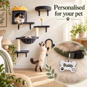 Puede incluir: Un centro de actividades para gatos montado en la pared con plataformas de alfombra gris oscuro, una cueva con corona amarilla y un poste rascador de sisal. Un recuadro circular muestra un collar verde con una placa de metal.