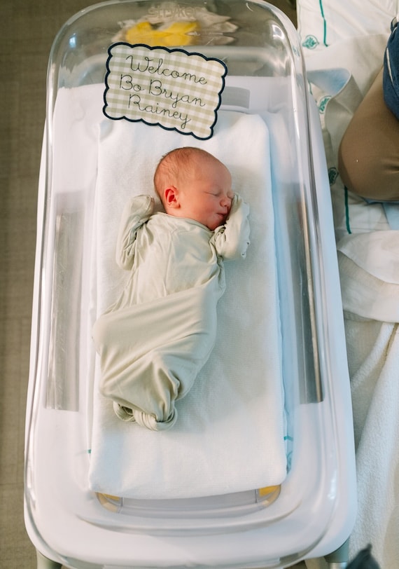 Baby Monogrammed Bassinet Tag, Green Gingham, Embroidered Bassinet Banner,  Hospital Baby Tag, Newborn Baby Banner, Baby Banner for Hospital