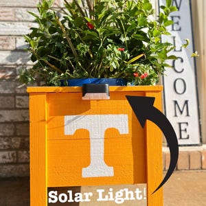 UT Vols Planter