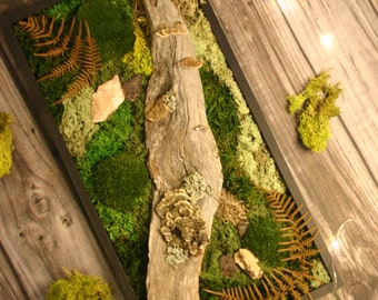 Moss Art, Wild Mushrooms and Raw Crystals