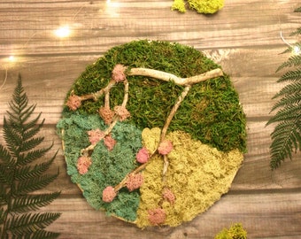 Cherry Blossoms Moss Art