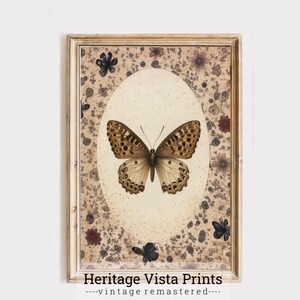 Vintage Butterfly Print | Botanical Wall Art | Moth Illustration Decor | Rustic Home Decor | Butterfly Art Print | Antique Wall Art | p0584