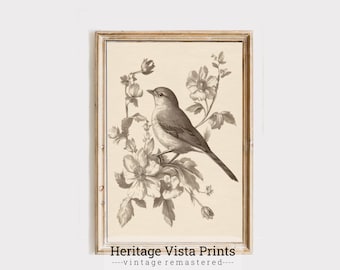 Vintage Vogel Druck: Botanische Wanddekoration, Rustikale Natur (Digitaler Download)