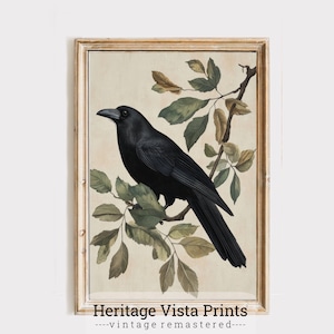 Vintage Raven Art Print | Crow Print | Gothic Crow Wall Art | Retro Bird Illustration | Bird Lover Gift | p0627
