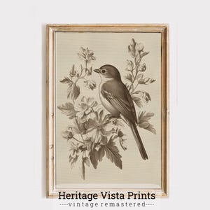 Vintage Bird Print: Floral Botanical Wall Art (Digital Download)
