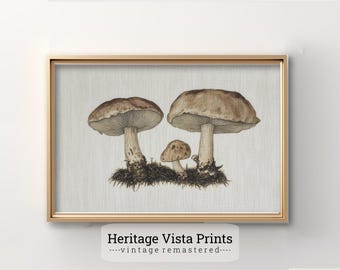 Ilustracja przedstawiająca grzyby w stylu vintage: botaniczny wystrój domu (do pobrania w wersji cyfrowej)