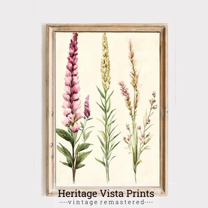 Watercolor Wildflower Print: Vintage Botanical Art (Digital Download)