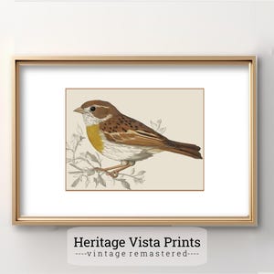 Vintage Bird Illustration Print | Nature Wall Art Decor | Antique Bird Artwork | Rustic Bird Poster | Ornithology Art for Home | w0614