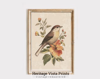 Vintage Vogel Druck Illustration: Natur inspirierte Dekoration (Digitaler Download)