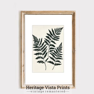 Botanical Fern Wall Art | Vintage Leaf Print | Botanical Decor | Nature Art Print | Greenery Wall Art | Minimalist Home Decor | p0630