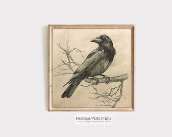 May include: A framed vintage print featuring a detailed black and white illustration of a raven perched on a branch. The artwork has a sepia-toned background and is set in a light-colored wooden frame. The text "Heritage Vista Prints" is at the bottom.