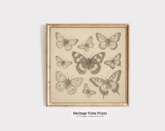 Vintage fjärilsskisskonsttryck: Botanisk entomologiillustration (digital nedladdning)