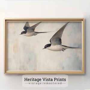 Swallow Birds Illustration, Nature Inspired Wall Art, Minimalist Bird Watching Decor, Animal Lover&#39;s Gift | w0679