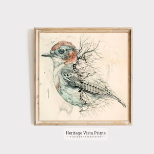 Pintura de esboço de pássaro antigo | Impressão de arte de fazenda vintage | | Arte de parede para impressão | s0437