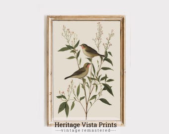 Vintage Bird Botanical Print: Retro Nature Wall Art (Digital Download)