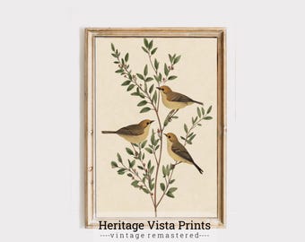 Vintage Vogel Druck: Botanische Wandkunst, Cottagecore Dekor (Digitaler Download)