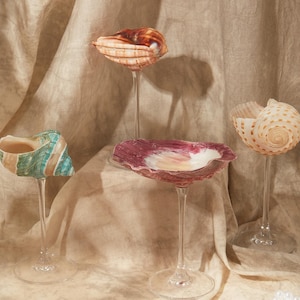 May include: Four decorative seashell goblets. One goblet features a shell with teal and gold stripes. Another has a shell with a reddish-brown exterior. A third goblet has a shell with a pink and white interior. The last goblet has a shell with a cream-coloured exterior.