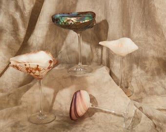 Natuurlijke schelp wijnglas, kustdecor, strand huwelijkscadeau, handgemaakte martiniglazen, beker cocktailglas, martiniglazen