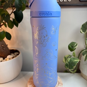 Owala rapunzel water bottle - Etsy 日本