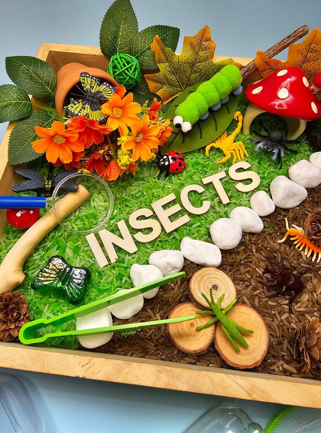Insects Sensory Play Kit - Etsy