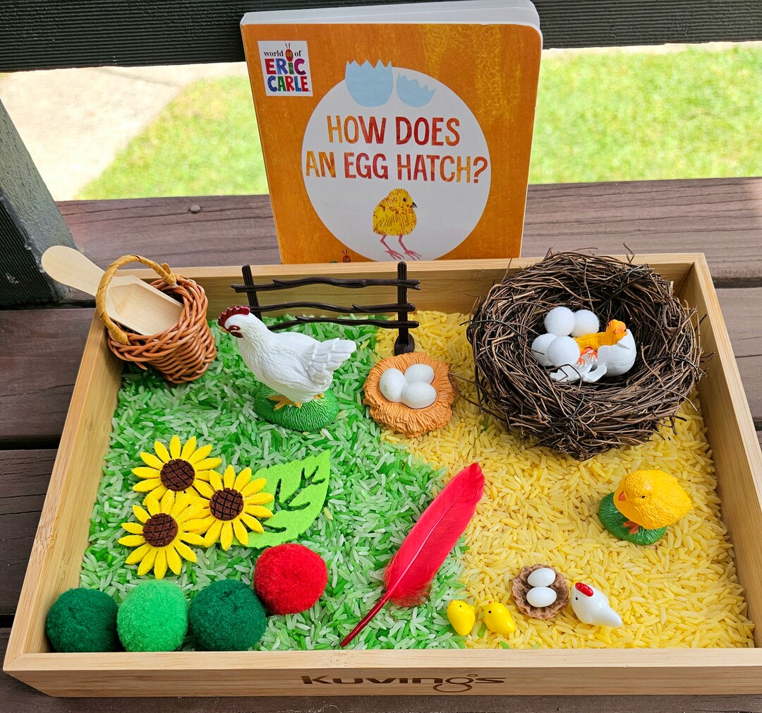 the-hungry-caterpillar-life-cycle-chicken-etsy