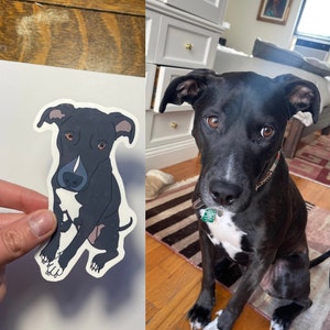 Custom pet sticker using your pet photo | custom dog sticker | custom cat sticker | vinyl matte weatherproof stickers