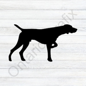 Pointer Dog Svg, Pointer Dog Silhouette svg, Vizsla, Braco Alemán de Pelo Corto, GSP, Perro Pájaro, Perro Arma, Perro de Caza, clipart, vector, eps