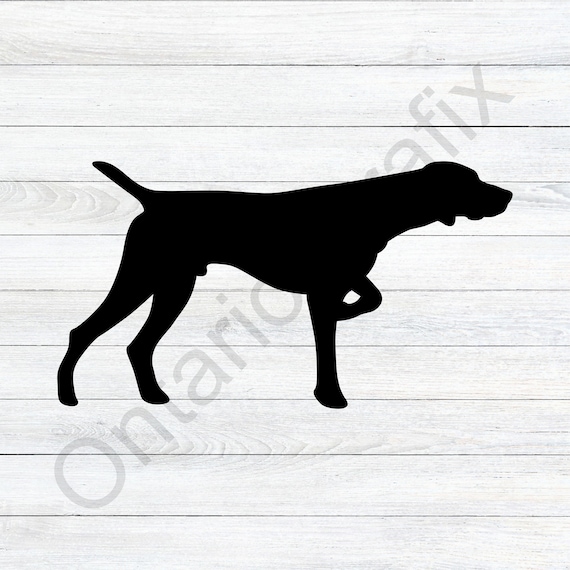 Pointer Dog Silhouette, Vizsla, GSP Vector Clipart (svg, png, jpg, eps, dxf)