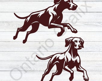 Vizsla Dog SVG, Running Pointer, Hunting Vector (Digital Download)