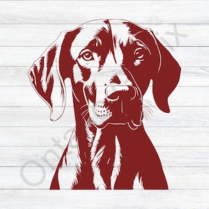 Vizsla Hund, Pointer Hund svg, Pointer Hundekopf, Vizsla Kopf, ungarischer Pointer, APS, Vogelhund, Waffenhund, Jagdhund, Clipart, Vektor