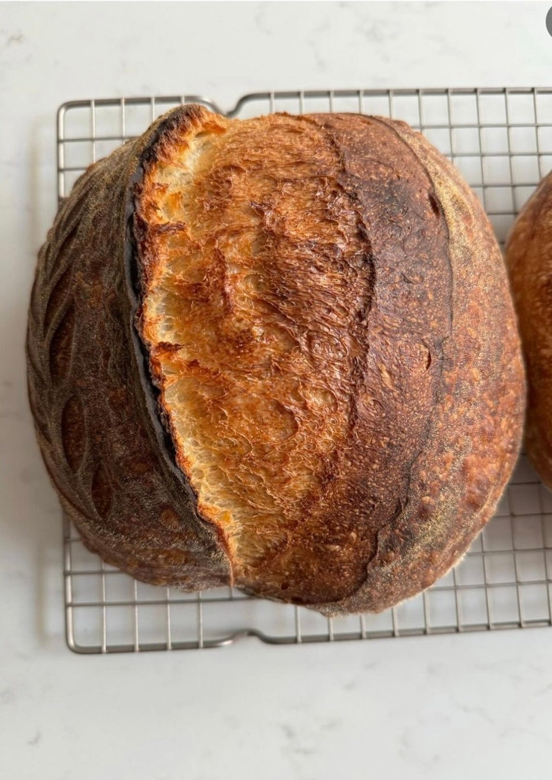 Organic Sourdough Bread Etsy