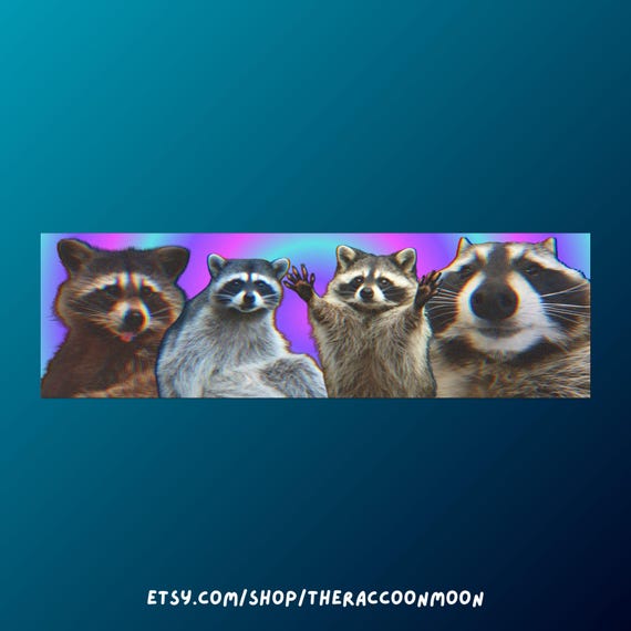 Raccoon Car Magnet, Cute Animal Meme Bumper Sticker, Gift for Raccoon Lover, Car Decal, Animal Lover Magnet, Funny Animal Gift, Trash Panda