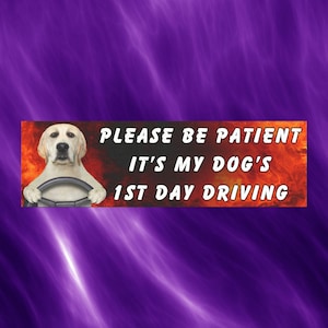 Hondenliefhebber automagneet, grappige hond rijdende auto sticker, schattige dieren huisdier eigenaar auto sticker, hond dame cadeau, auto-accessoires, hond moeder aanwezig, auto