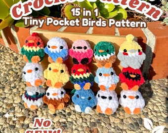 Haakpatroon kleine zakvogel, 15-in-1 amigurumi zonder naai (pdf-patroon)
