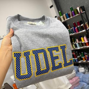 Applique Sweatshirt Gingham Letter Crewneck, Custom College Name Pullover, Embroidered University Style Shirt Gift image 7