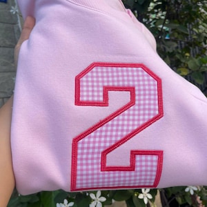 Personalized Gingham Number Sweatshirt, Custom Birthday Number Crewneck, Pink Gingham Applique Sweater, Cute Preppy Essential Gift